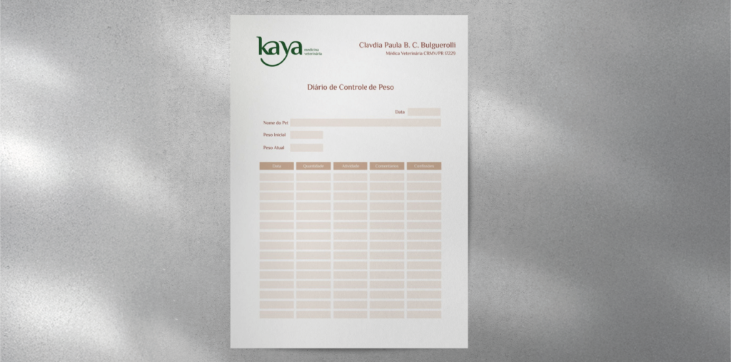 Kaya — identidade visual e aplicações