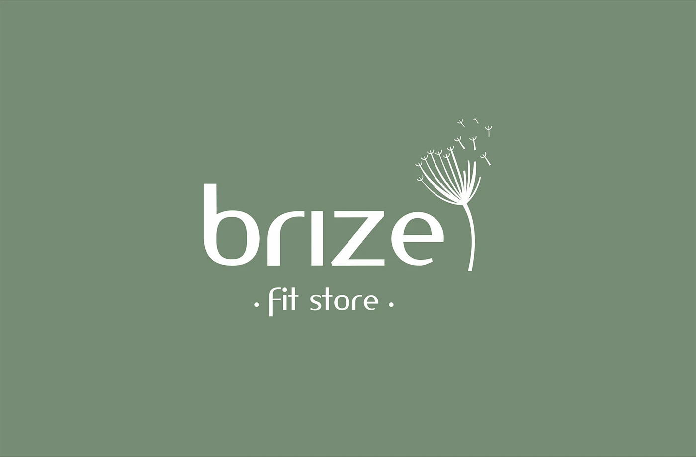Brize — identidade visual e aplicações