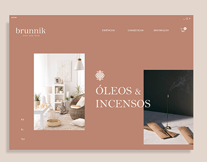 Brunnik — capa do projeto