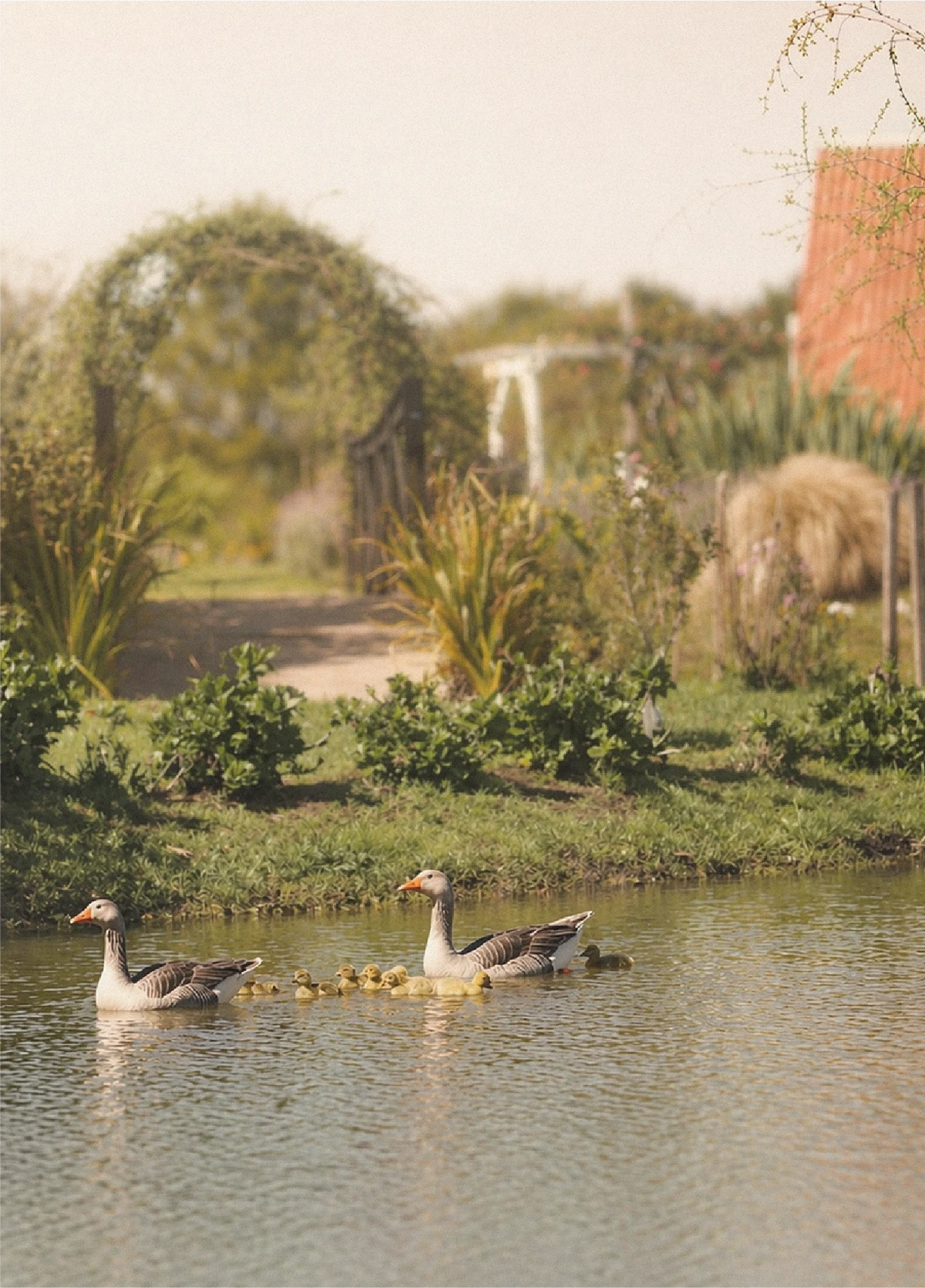 Lago Encantado — identidade visual, 24.1